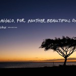 aloha branding mahalo