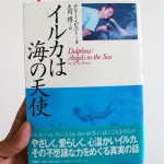 テリー・ピニーの「イルカは海の天使」