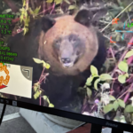 可視光カメラによる確認映像